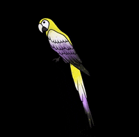 Apamate  GIF