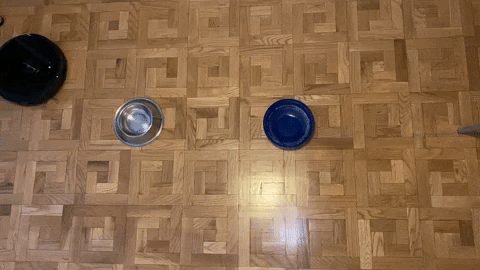 trishatakanawa vacuum roborock xataka GIF