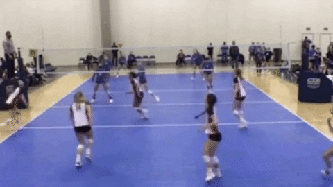 RevVolleyballAcademy giphygifmaker volleyball boom swing GIF