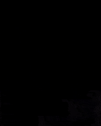 evoleneofficial evolene GIF