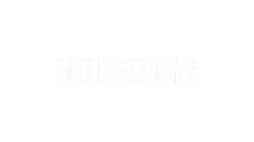 Vct Guild Sticker by VALORANT Esports