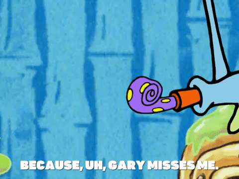 season 5 GIF by SpongeBob SquarePants