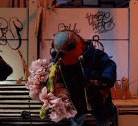 kike_o webserie vomito pajarones equipotv GIF