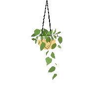 EJDesignsss trending plant garden leaf Sticker