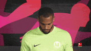 Vfl Wolfsburg Football GIF by Bundesliga