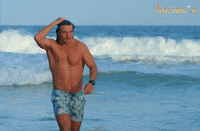 rose bachelor au GIF by The Bachelor Australia