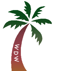 palm tree sticker by Why Don't We