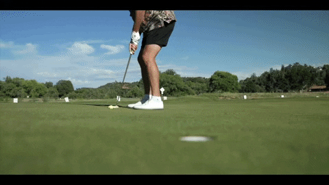 FatPuppy giphyupload GIF