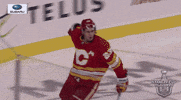 Happy Ice Hockey GIF by NHL
