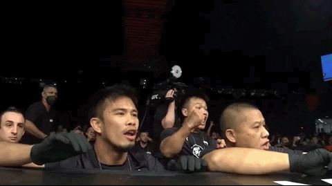 Hold On Reaction GIF by UFC