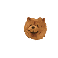 Chow Chow Dog Sticker