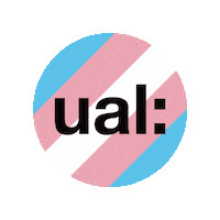 Trans Flag Sticker by UAL Accommodation