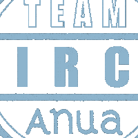 Birch Sticker by Anua Skincare