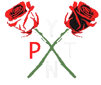 Shop Pm Sticker by Payton Moormeier