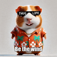 Wisdom Adaptability GIF by Guinea Gambino