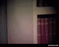 Angry Excuse Me GIF by GifGari