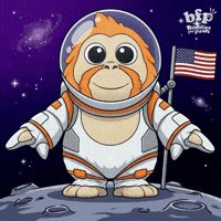 Bonk Usa Flag GIF by Buddies for Paws