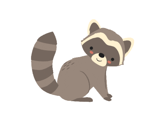 Raccoon Hello Sticker by Jay Fleck