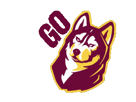 Football College Sticker by Bloomsburg University
