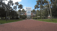college football go gators GIF by University of Florida