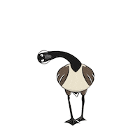 Happy The Goose Sticker by Bare Tree Media