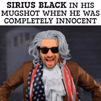 Sirius Black Innocence GIF
