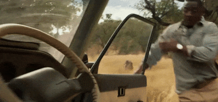 Lion Attack GIF by Beast