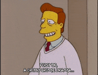 the simpsons episode 24 GIF