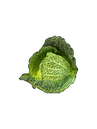 Sticker Vegetables Sticker