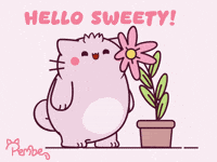 Cat Hello GIF by Pembe