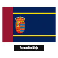Comunidad De Madrid Flag Sticker by Formación Ninja