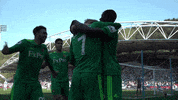 watfordfootballclub football soccer goal premier league GIF