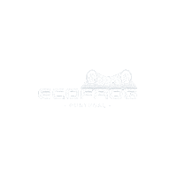 EcofrogPortugal ozono ecofrog ecofrogportugal limpezasustentavel Sticker