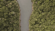 Camp Nox GIF by Nox Holloway
