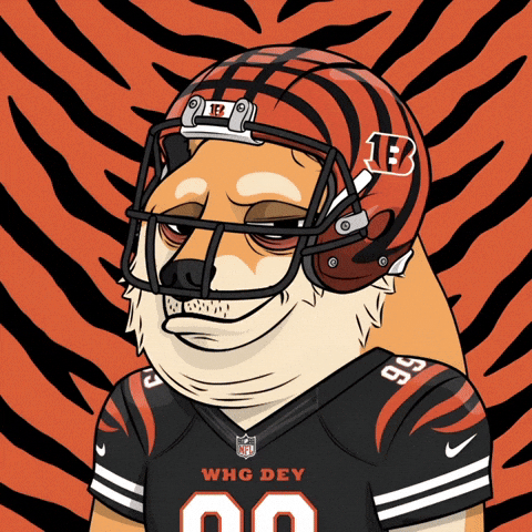 American Football Nfl GIF by Doge Pound