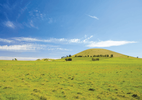 brandonjonesdavidson giphygifmaker giphyattribution GIF