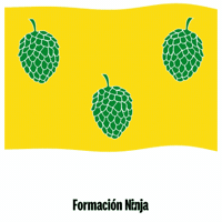 Bandera Zaragoza GIF by Formación Ninja