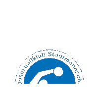 Sport Logo Sticker by Stadtmannschaft Zürich