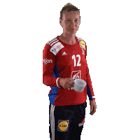 Ffhandball Sticker by Fédération Française de Handball