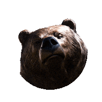 george fox bruins Sticker by George Fox University