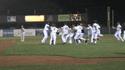 happy baseball GIF by Kane County Cougars