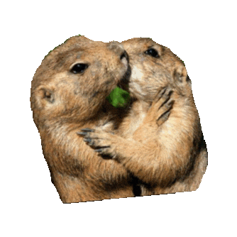 Pride Love Sticker by imoji