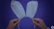 GIF by Playboy