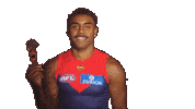 Melbourne Demons Bobblehead Sticker by Melbournefc