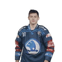 Hockey Swipe Up Sticker by HC Škoda Plzeň