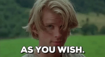 The Princess Bride GIF by filmeditor