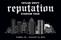 Tampa Bay GIF by Taylor Swift