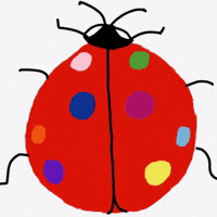 Lady Bug Dots GIF by Barbara Pozzi