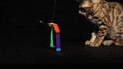 animation cat GIF by Originals