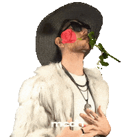 Rose Love Sticker by Mi Carta Diseño Humano